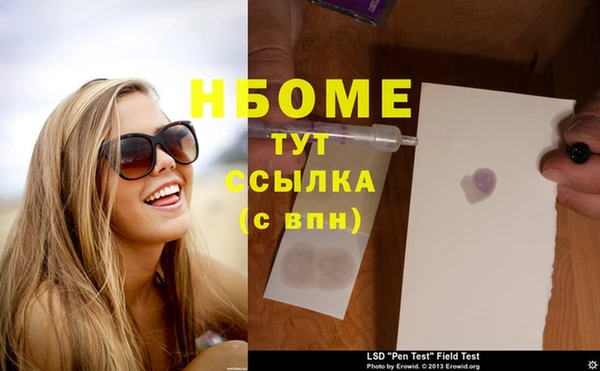 ГАЛЛЮЦИНОГЕННЫЕ ГРИБЫ Ладушкин