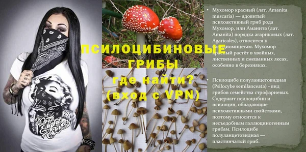 дмт Лагань