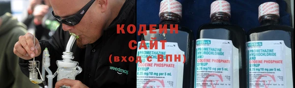 дмт Лагань