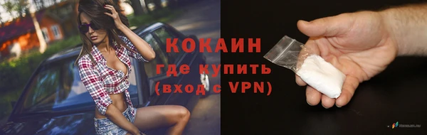 ГАЛЛЮЦИНОГЕННЫЕ ГРИБЫ Ладушкин