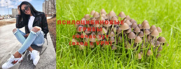 ГАЛЛЮЦИНОГЕННЫЕ ГРИБЫ Ладушкин