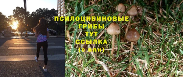 ГАЛЛЮЦИНОГЕННЫЕ ГРИБЫ Ладушкин