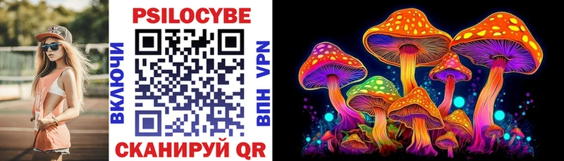 Галлюциногенные грибы Psilocybe  Судогда 